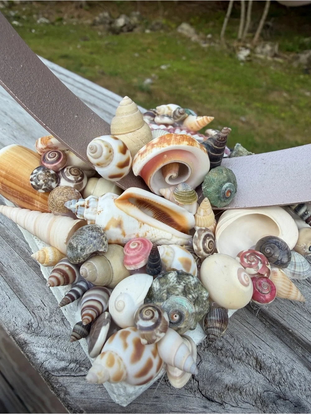 Coastal Decor | Tealight Candle | SeaShell Sculpture